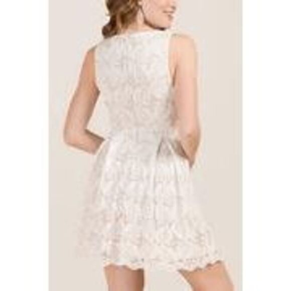 Francesca's Louise Scallop V-Neck Palm Lace A-Line Dress Mini Dress - Picture 2 of 10